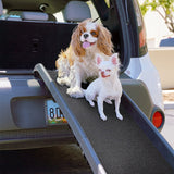 PORTABLE FOLDABLE DOG RAMP