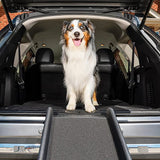 PORTABLE FOLDABLE DOG RAMP