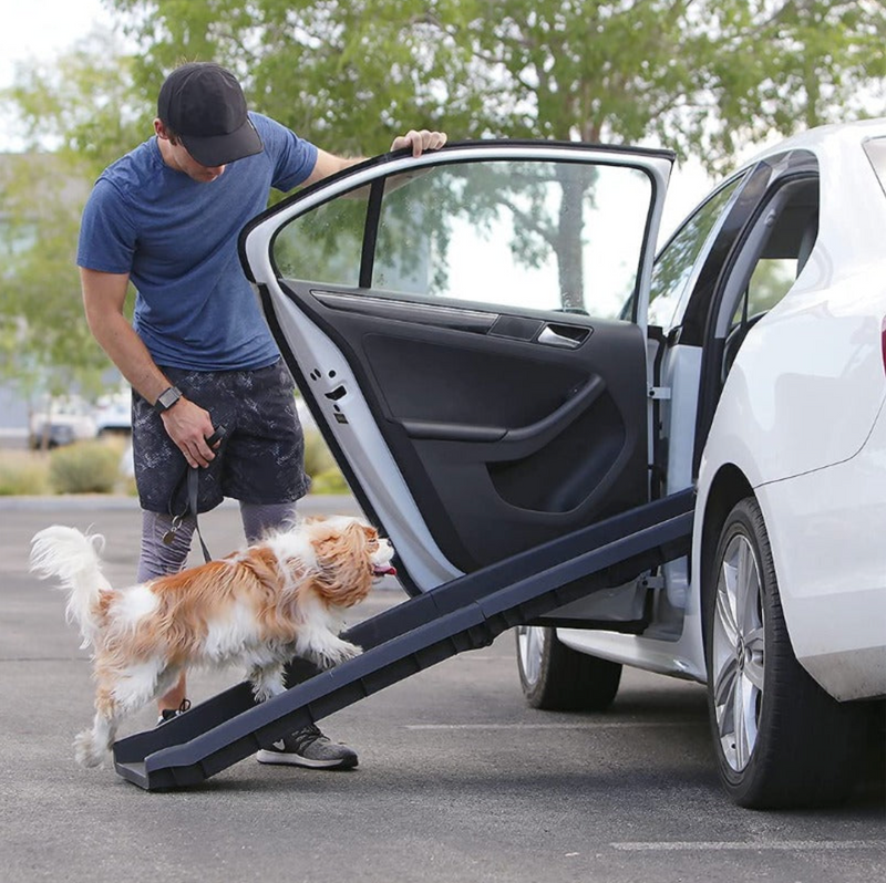 PORTABLE FOLDABLE DOG RAMP