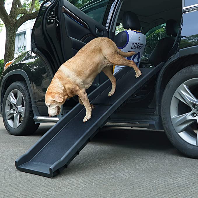 PORTABLE FOLDABLE DOG RAMP